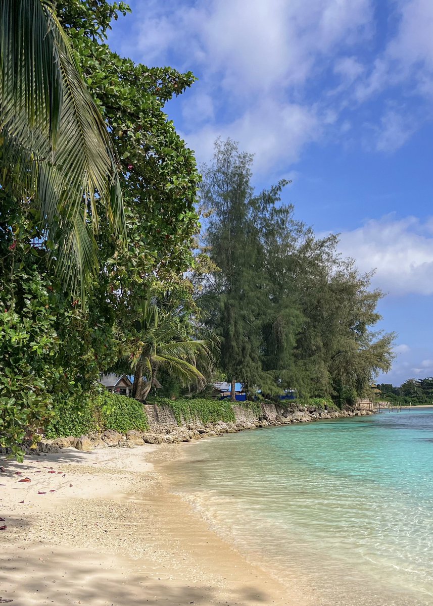 Crudonus's tweet photo. I found this tiny beach on my walk earlier https://t.co/1wrqyJPng3