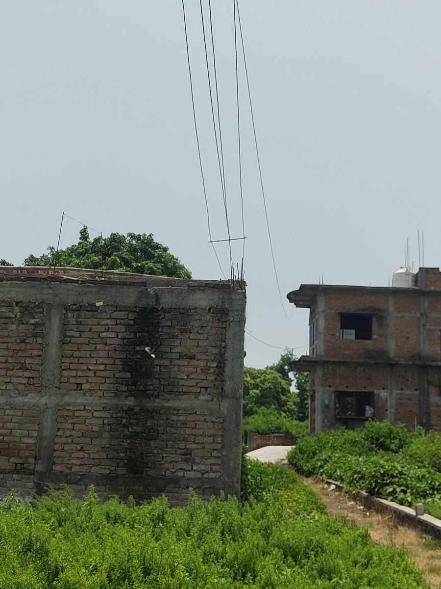 vissinvishal's tweet photo. @SEVA_NBPDCL @EnergyBihar @mlkhattar @CMBiharOffice @CMOfficeBihar This is a serious safety hazard, especially as children regularly play on the rooftops nearby. A tragic accident could happen at any time.
I request the concerned authorities to take immediate action before it's too late. https://t.co/UVm8nJXEnw
