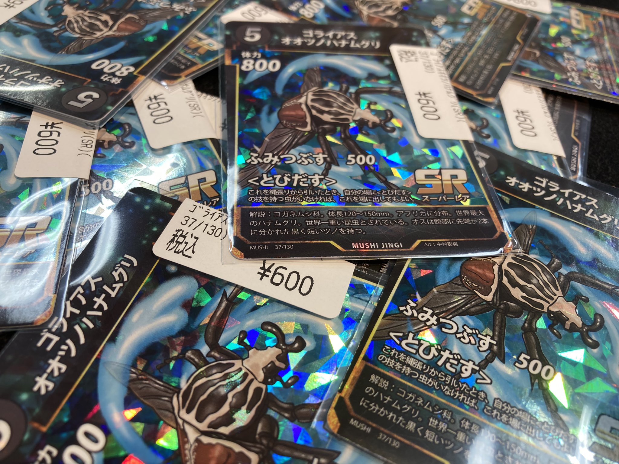 蟲神器　ゴライアスオオツノハナムグリ　10枚 ドラゴンスター日本橋3号店 on X: 