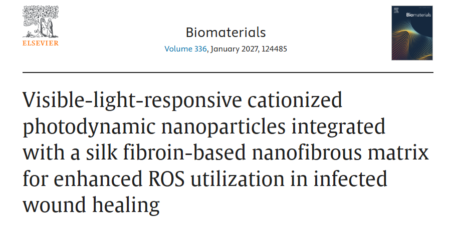 isrmwr's tweet photo. Photodynamic nanoplatform + silk fibroin membrane: eradicated infection, accelerated closure in rat model via ROS &amp; immunomodulation. Promising biomaterial for drug-resistant wounds. #RegenerativeMedicine #WoundCare https://t.co/TiRBy1Sp9s