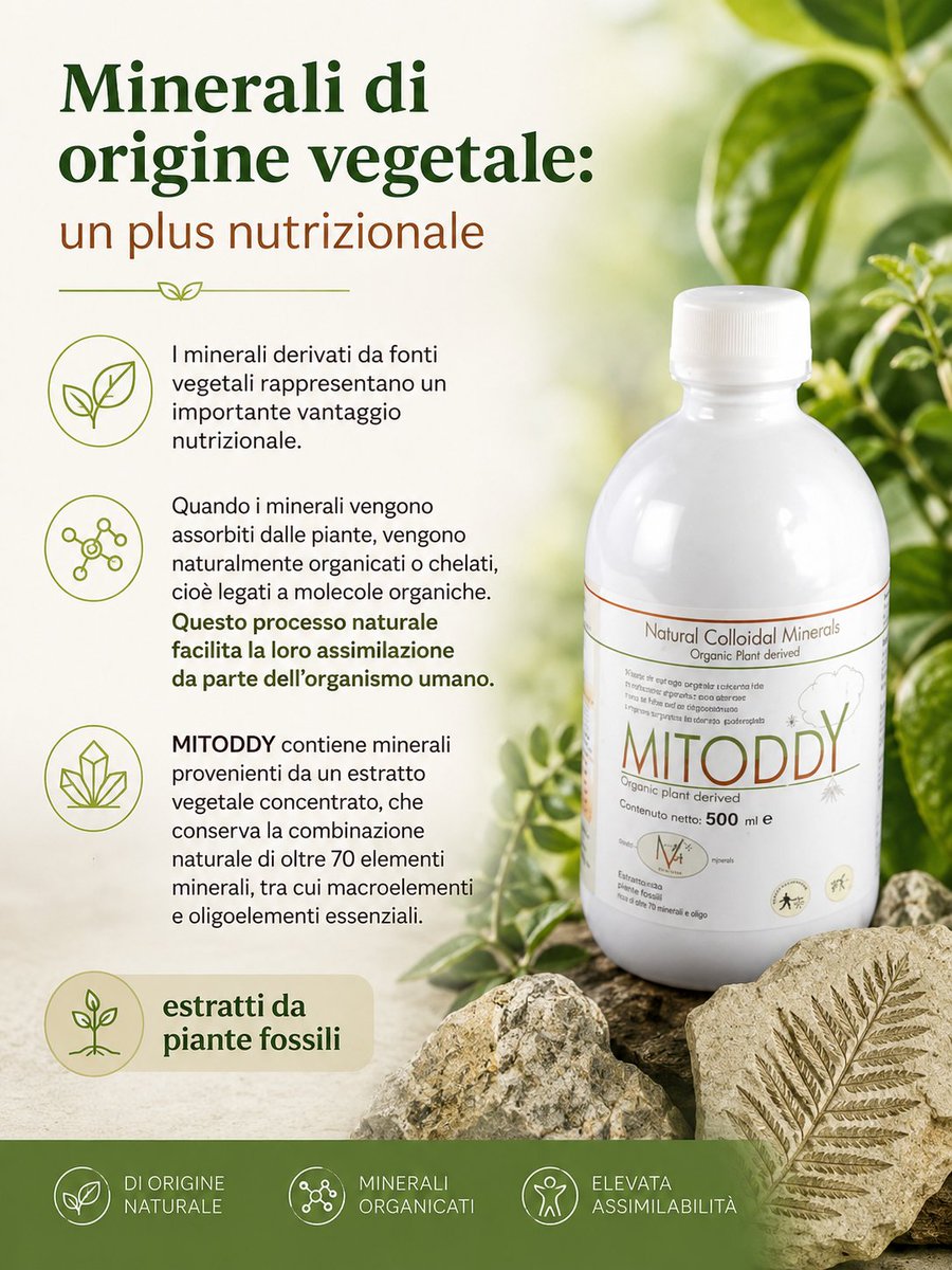 forvit_sas's tweet photo. MITODDY https://t.co/LXp6qlHhv9
NATURALE al 100% - perfetto per VEGANI & VEGETARIANI
- La formula di MITODDY deriva da materia prima vegetale naturale, mantenuta nel suo rapporto minerale originale.
- Oltre 70 tra minerali ed oligoelementi.
#minerali #oligoelementi #magnesio https://t.co/14zmNga8Gm