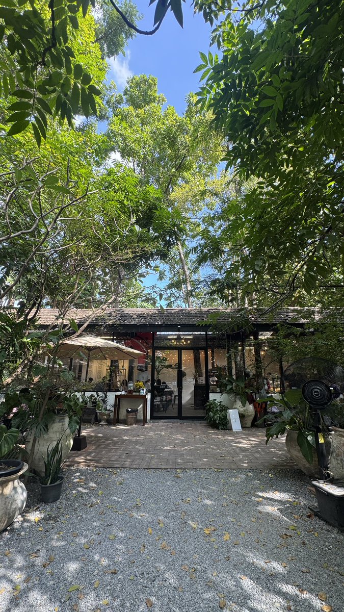 iamkoyjung's tweet photo. 🍃☕️แนะนำร้าน“ตามใจคาเฟ่“หรื“ลุงชงชา”แถวห้วยขวาง ร้านคาเฟ่ในสวนบรรยากาศดีชิลล์ๆมีพื้นที่สีเขียวกว้างขวางมาก มีเสิร์ฟทั้งอาหารคาวจานเดียว/ ขนมเค้ก/กาแฟ/น้ำผลไม้/ชาจีนและชาเขียวมัจฉะหายากมีทุกแนวทุกโทนสามารถสอบถามคุณลุงแนะนำเรื่องชาได้คุยเพลินมาก มีเอ้าท์ดอร์และห้องแอร์ด้วย🍵🥰🍰 https://t.co/udv96o2zaB