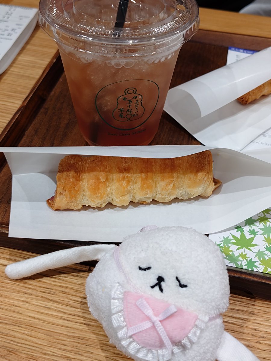 ukanmurijp's tweet photo. ←お迎えした時のもふちゃんと
最近のもふちゃん→ https://t.co/EAatId5DsM