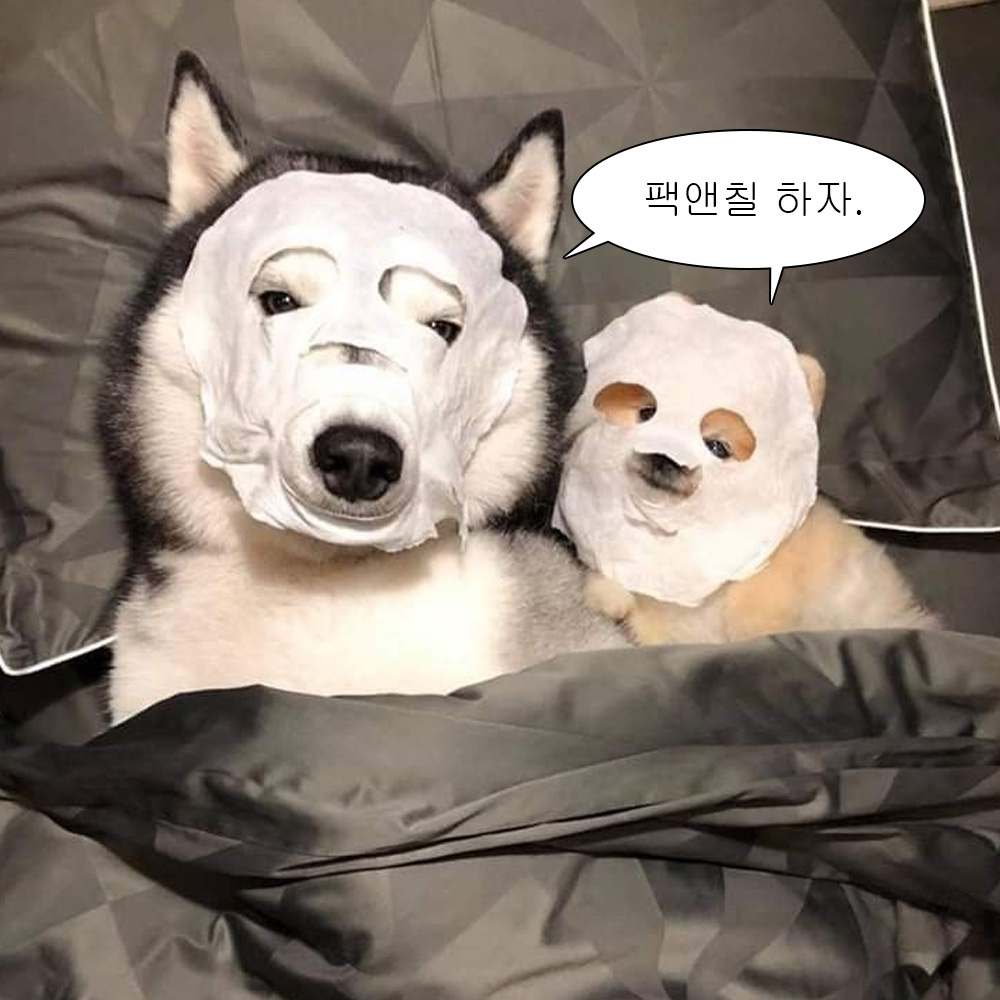 KIWIGLOW0601's tweet photo. #RT이벤트
여러분,,, 오래만갑,,
아니 오랜만에 이벤트를 낋여왔습니다.(⌯❛౪❛ก )꜆꜄꜆꜄꜆

요즘 키글지기는밤에 샤워 싹-하고
마스크팩 얼굴에 붙이고 바디로션 바르고 chill…한
시간을 보내는 게 고정된 루틴인데요!

키글 연꽃팩에는시트에 구멍이 패턴이 입혀져 있어서
답답하지도 않고 미감이나 코 옆볼부분도
촥- 달라붙어 있어서 아주 좋크든요!ദ്ദി*ˊᗜˋ*)

팔로우 + 게시글 RT 해 주시면 랜덤 추첨을 통해
5분께 제주연꽃팩 5매입을 선물로 드려요!

당발은 8/6(목)에! 
많은 관심 부탁드려유ღ´͈ ᵕ `͈ )♡⃛(´͈ ᵕ `͈ ღ