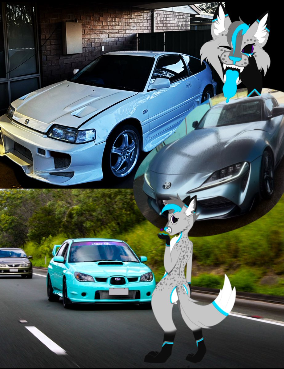 Asha_fox7's tweet photo. Sona vs what you drive 🤪 

2022 Toyota supra GTS 
2006 Subaru Impreza wrx 
1988 Honda crx 

Millie k9 🔥 Subaru 💜 https://t.co/EQzYNXZXnL