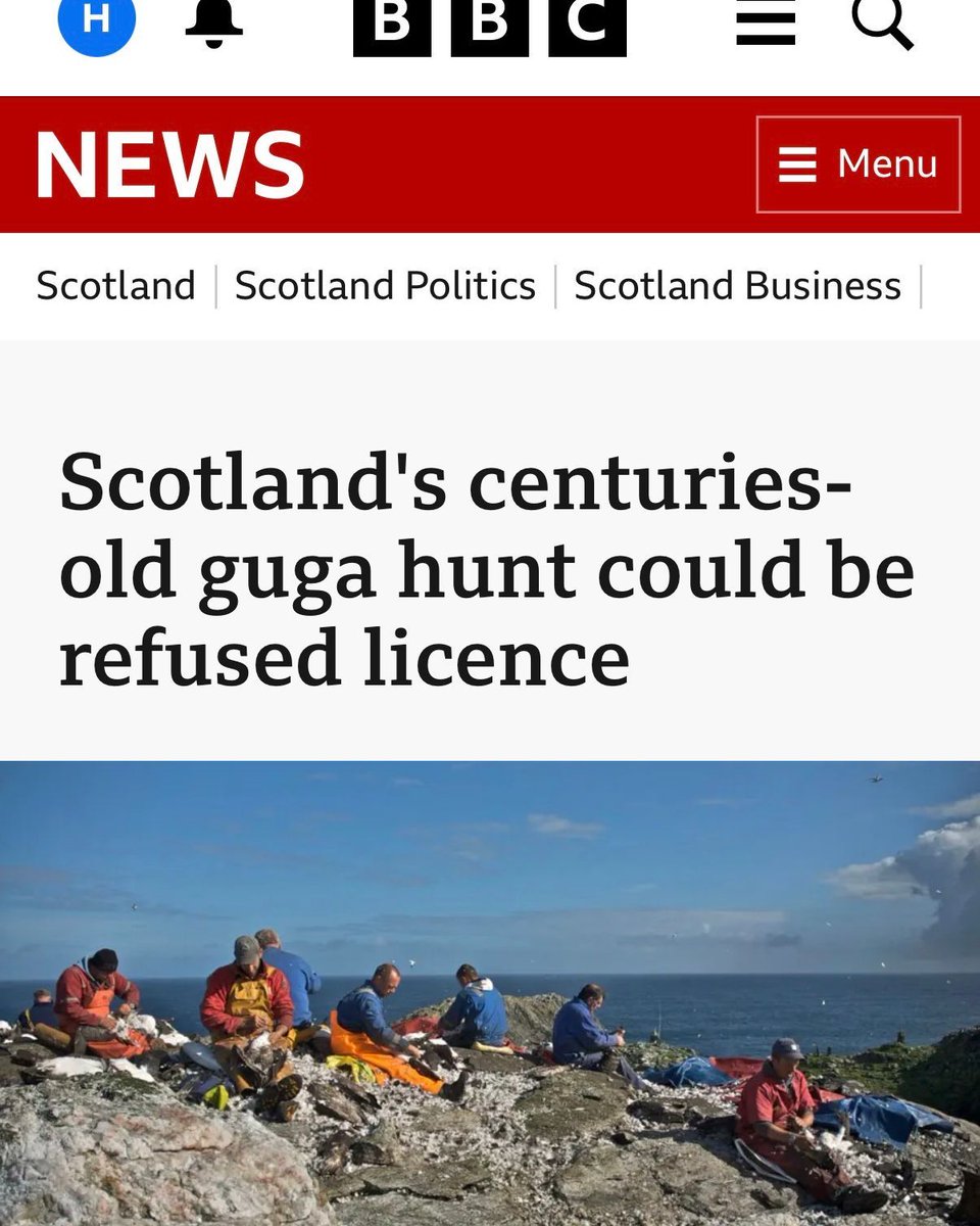 ProtectTheWild_'s tweet photo. This is the beginning of the end for the Guga hunt. https://t.co/QnTr3FaXMO