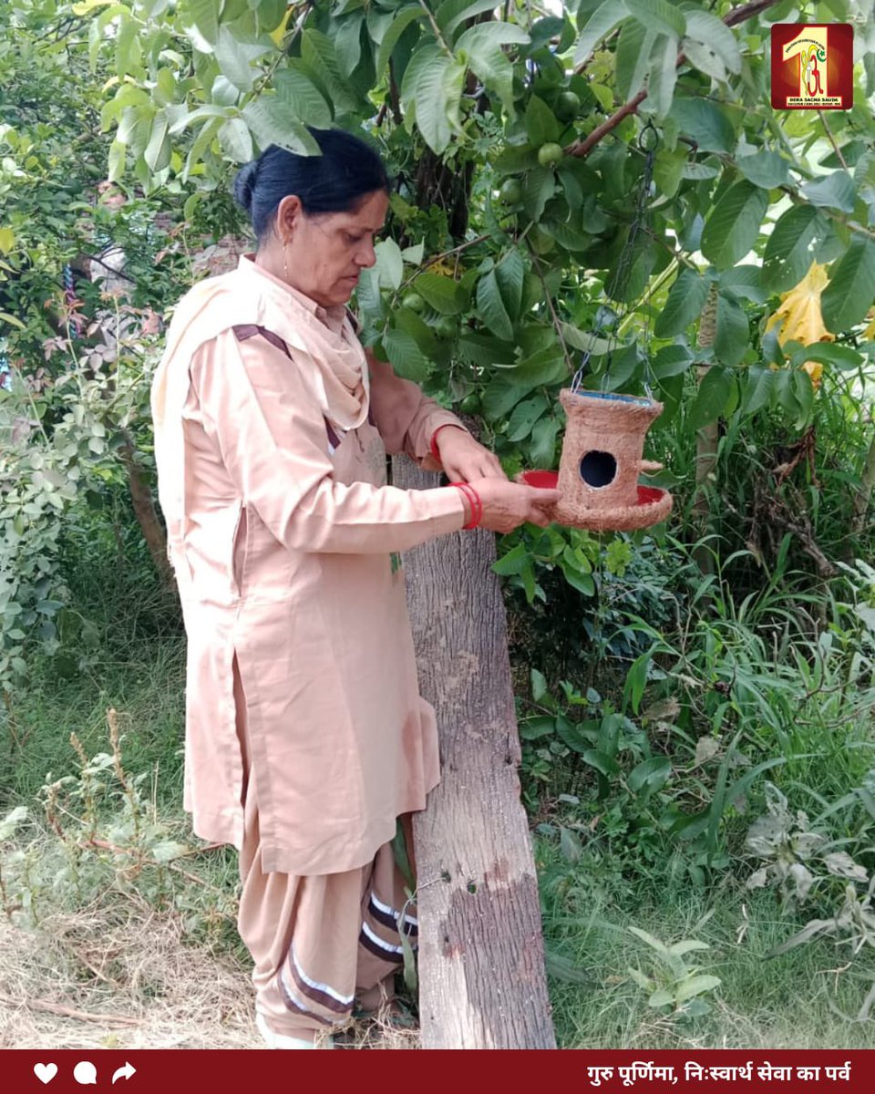 DSSNewsUpdates's tweet photo. गुरु पूर्णिमा के पावन अवसर पर ब्लॉक यमुनानगर, हरियाणा के सेवादारों ने संत डॉ. गुरमीत राम रहीम सिंह जी इंसां की पावन प्रेरणा से पक्षी उद्धार मुहिम के तहत बेजुबान पक्षियों की सुरक्षा एवं देखभाल के लिए सेवा कार्य किए। 🐦

गुरु के प्रति सच्ची श्रद्धा वही है, जो हर जीव के प्रति दया और करुणा का भाव जगाए।

#GuruPurnima #BirdWelfare #SaveBirds #AnimalWelfare #SelflessService #ServingHumanity #NuturingBirds #RamRahim #DeraSachaSauda #SaintDrMSG