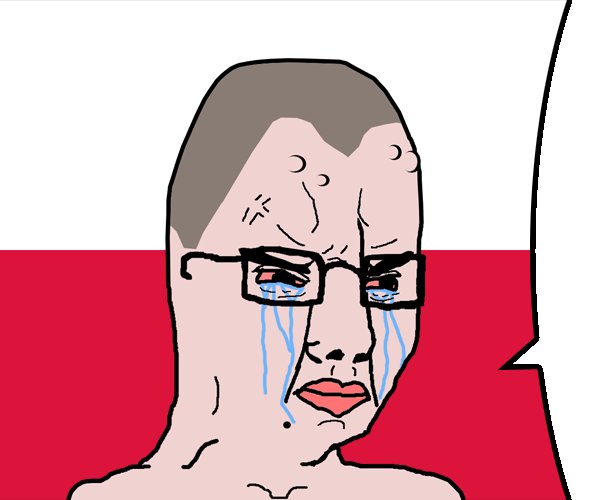 3chmid1's tweet photo. @MikeRob32691029 @frnkwltroskr @FlaviusTdsius @Tim_Patriot07 The Polish cope needs to be professionally studied https://t.co/ZeXYEz6kWD