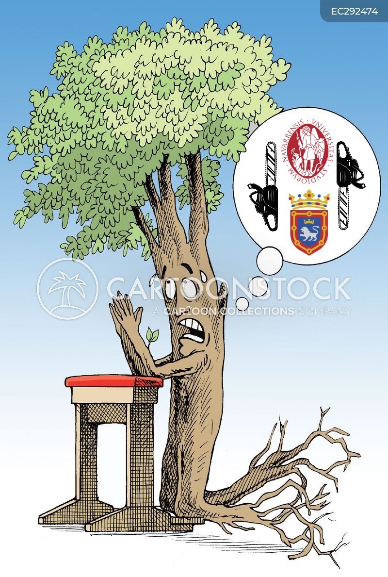 SOSterritorios's tweet photo. La #UniversidadPrivada @unav se alía con el @Pamplona_ayto para ejecutar #Arboricidios sistemáticos y lo llaman #Renaturalizar el #Campus y eliminación de #Riesgos.
Son unos cínicos, no paran de mentir y talar.
El verdadero y gran riesgo son sus presuntos #Técnicos y #Jardineros. https://t.co/16iZKlH6po