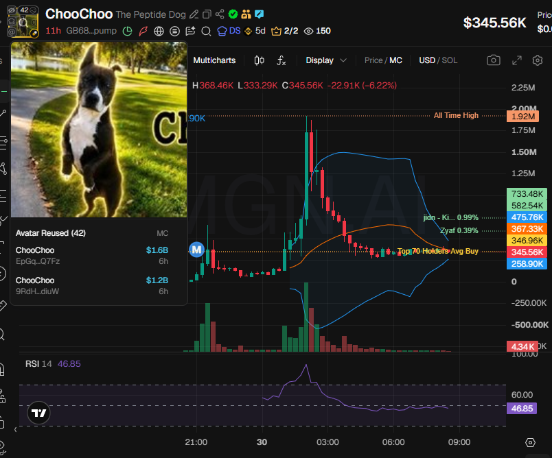 badattrading_'s tweet photo. $ChooChoo (CA GB68eELgf864nrQHjNvrXHF6Xywpp1kYsb7fsGBupump) can't be analyzed with devsnightmare. Dani, turko, sized in, reese, miklo, SKAR, Zyaf, Cipicapa are top holders.

A cluster has 2.9% on the bubblemap. CEX cluster has 51.9%, Binance funded wallets have 21.1%, Coinbase 14.5%, Moonpay 7.6%, Revolut 4.7%, Bybit 4.2%, Mexc 3%, Cryptocom 2.7%, HitBTC 2.6%, transak 1.6%, OKX 1.4%.

Top 10 holders have 17.6%, 2.65k holders with an average bag at $130. Nfa