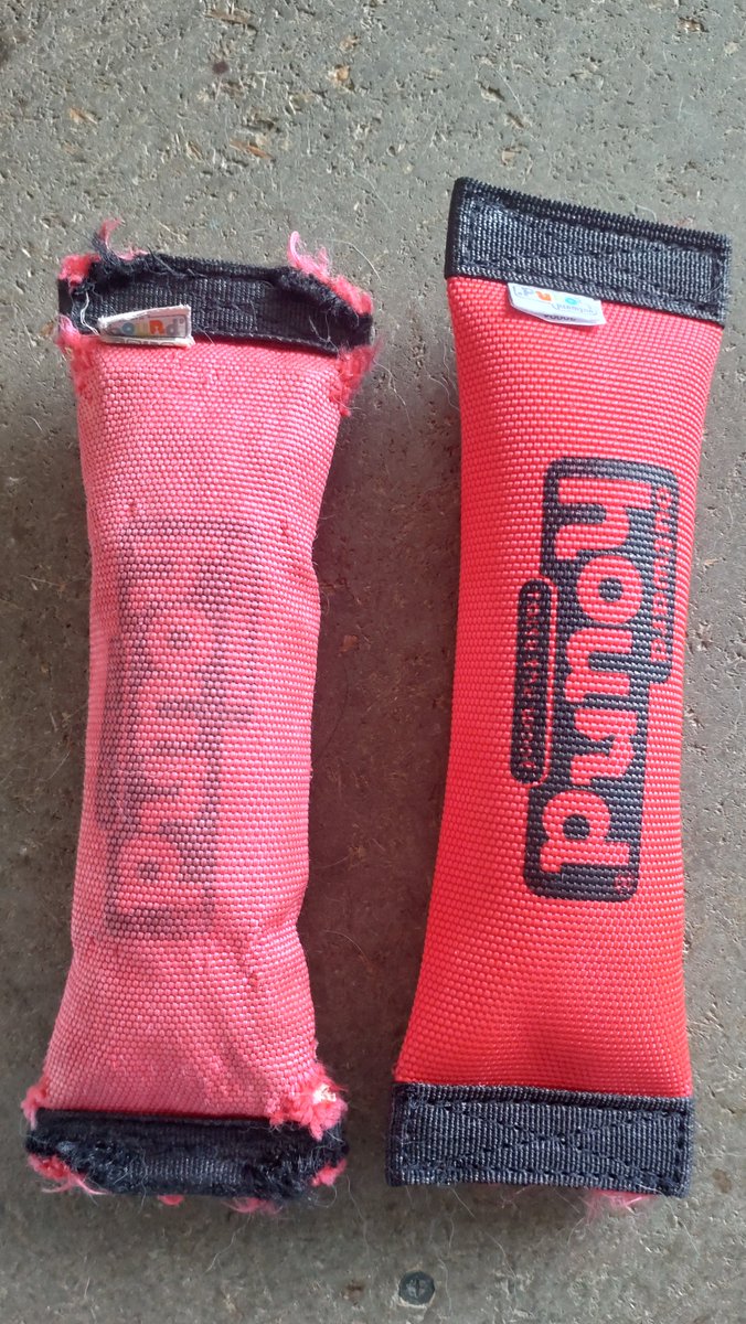 corgi_molmol428's tweet photo. ＃コーギーのいる暮らし
新品のオモチャが好きなmolさん
取られまいと監視中www
お気に入りのオモチャ３代目 https://t.co/54W4q1nX16