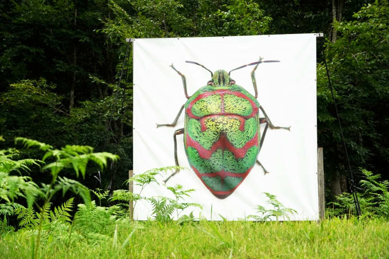 KyororoMuseum tweet picture