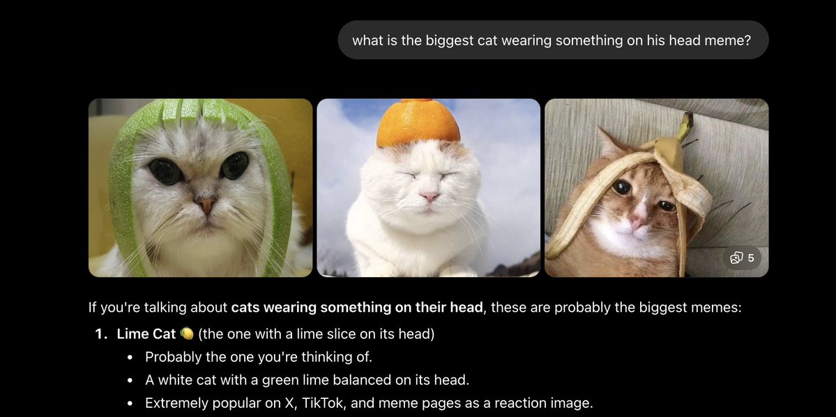 Cubothy's tweet photo. So we sent Wif to 5B because it was a Dog wearing something on his head

How have we NEVER sent Limecat?

This is LITERALLY the cat version of WIF??

You can ask any AI it will say LimeCat

This is fucking crazy

I will send 5% to FOMO wallets

and Pay dex too https://t.co/Vwspsmsp1X