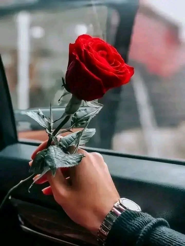 samirqdo's tweet photo. صبـ(⛅)ـُ(آٍلـٍـً(🌺)ـٍورٍدً)ـ(⛅)ـٍآٍآٍحً لكل أنثى سطايفية ❤❤🌹🌹 https://t.co/QDSqoqwqBp