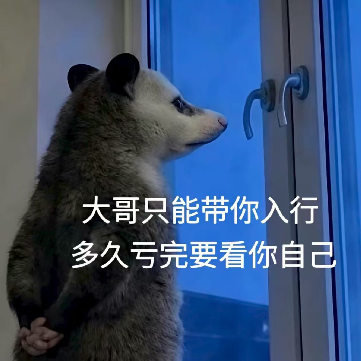 lianggemaer's tweet photo. 我知道你，24年底你第一次去商k，妈咪看到一个年轻的肉体芳心泛滥，那时候你意气风发，感觉自己是天才交易员。你劝她把上岸回老家买房的钱买入了2u的pnut🐿️，25年初又带人家买了70u的trump。妈咪被迫重新下海当起了公主。
又过了一年半，六月你嘴里念叨着基本面，不是meme，泡沫还小，你要站在光里，永远缺存储。重新下海的她虽然听不懂，但托腮笑起来已经有了一丝淡纹，想着每天晚上陪笑的大哥赚钱如流水，再一次开设了成本1900u的hynix。
七月到了，她卖掉了爱马仕和梵克雅宝补仓，你也变得沧桑，看起来什么都没变。你让不属于你的女人永远沦陷在了夜场。