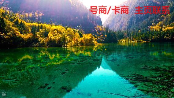 Got7byST's tweet photo. 2026-07-30 14:43:00🚃
点这👉 @DazorC67977
✋i茅台  🥃香港卡
🥳淘宝  🎒有缘号
🚐探探  🦝代收代付

🚋每一个清晨都是新的开始，每一个明天都有新的希望。放下昨日的烦恼，忘记过去的失意，以全新的姿态迎接未来，以饱满的热情面对生活，人生自会越来越好。 https://t.co/e5IG8t8ciu