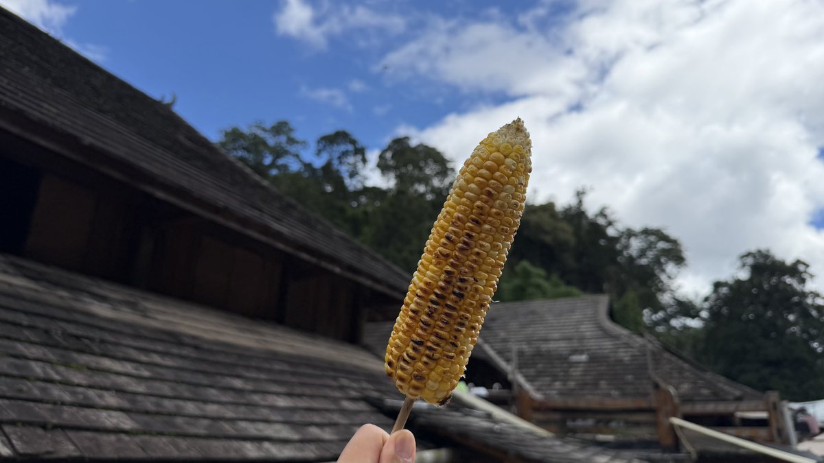 Vance9578's tweet photo. 清仓长鑫科技，赚取自己认知之内的收益，知足常乐。 https://t.co/FjMslNfGEI