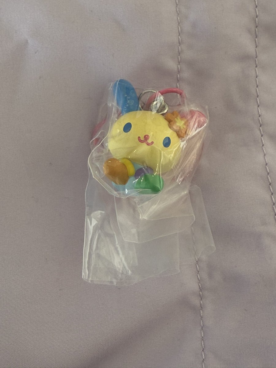 amnos_TnRk's tweet photo. @HrcyO2 @0 初めまして、こんにちは。検索よりお声がけ失礼致します。こちら、ウサハナ1点とシナモロール1点を郵送にて交換していただく事は可能でしょうか？郵送希望ですので難しいかとは思われますが、ご検討いただけますと幸いです。 https://t.co/ccD0vfGE5l