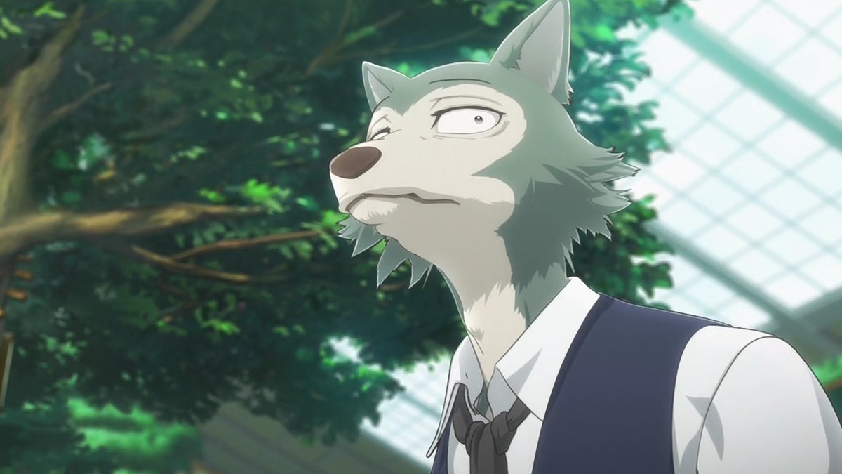 ggg_novel's tweet photo. 『BEASTARS FINAL SEASON』の地上波放送、
いつかあるといいな__(⌒(_'ω')_ https://t.co/mM5jnEpUK4