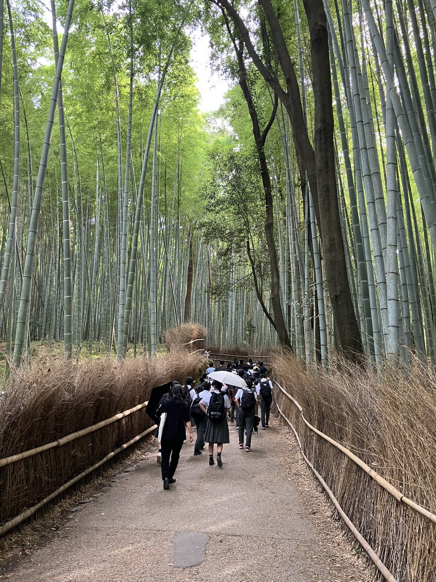 onarimonjh's tweet photo. 夏季学園２日目⑩
天龍寺から竹林を散策して、トロッコ列車の乗車口まできました。 https://t.co/ZSnDYhx1lf