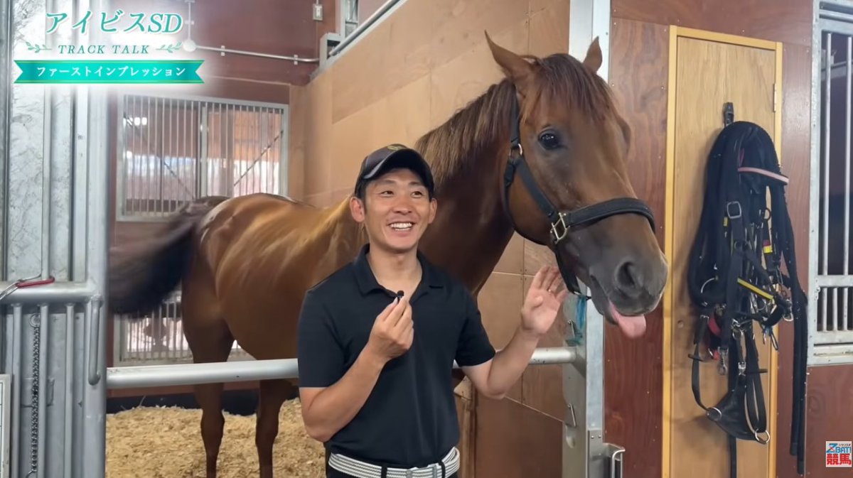 sanspoyosouou's tweet photo. 【動画】アイビスSDのファーストインプレッションはサンスポから内海、板津、桜至郎記者の3名に加え、ウイングレイテストに騎乗する松岡正海騎手、クムシラコ＆千葉直人調教師が登場するスペシャル回✨
アツい千直重賞に向けてぜひご覧ください🔥
https://t.co/B0uQaPVXRz https://t.co/7LADwsDE08