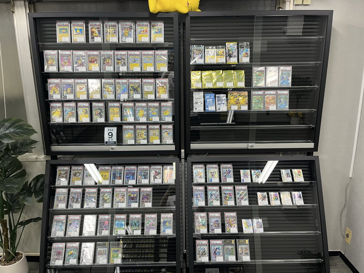 Pokeca_Dash's tweet photo. 少しずつ品出ししてます！
是非見に来てください〜 https://t.co/UmvPvqNZVB