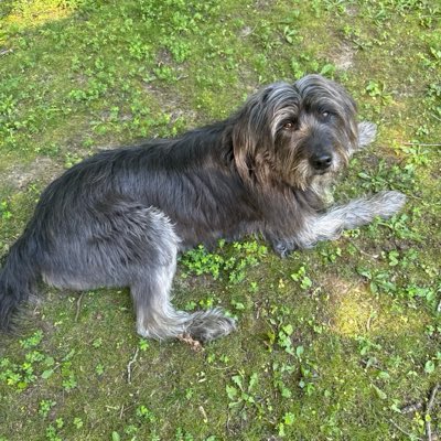 Slickeer's tweet photo. #NewProfilePic https://t.co/RcXP6NbXUX