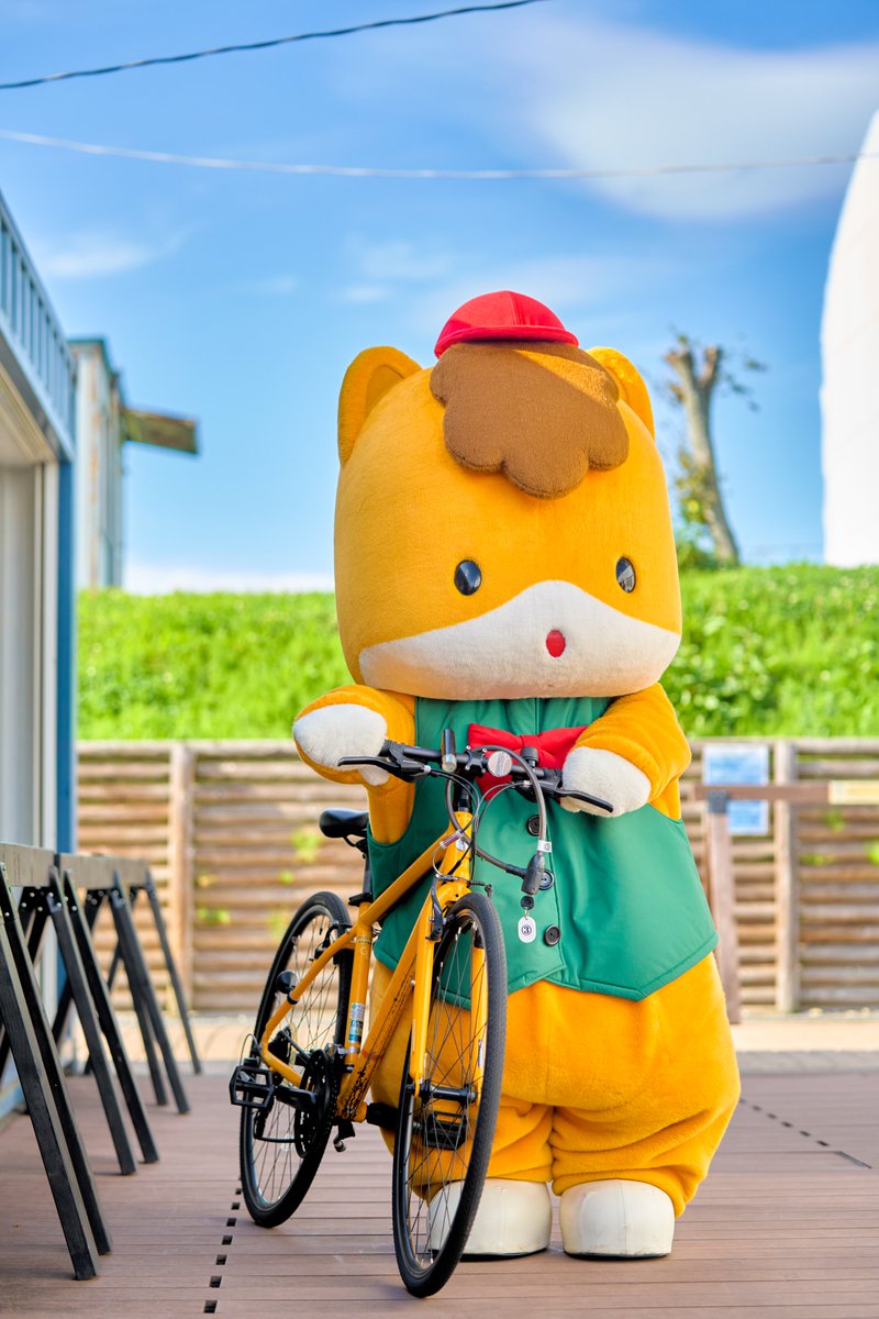gunma_gunmachan's tweet photo. 今日は自転車でおさんぽ〜🐴

#ぐんまちゃん #群馬 https://t.co/kJr1g2ddP8