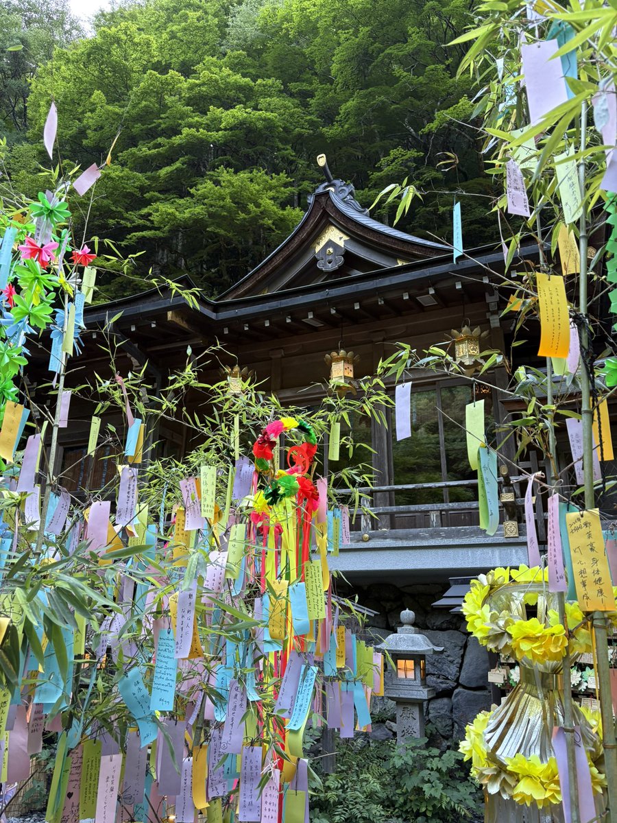 arsgald's tweet photo. 7月の京都は伊根町の他に貴船神社、北野天満宮等行って七夕飾りを楽しめたのも良かった。祇園祭も移動の合間にちょっとだけ味わえたかな。本格的な夏祭り期間は暑さ的に厳しいだろうけど、少しでも雰囲気を感じられて良かった🎋 https://t.co/HaZvjn5rmV