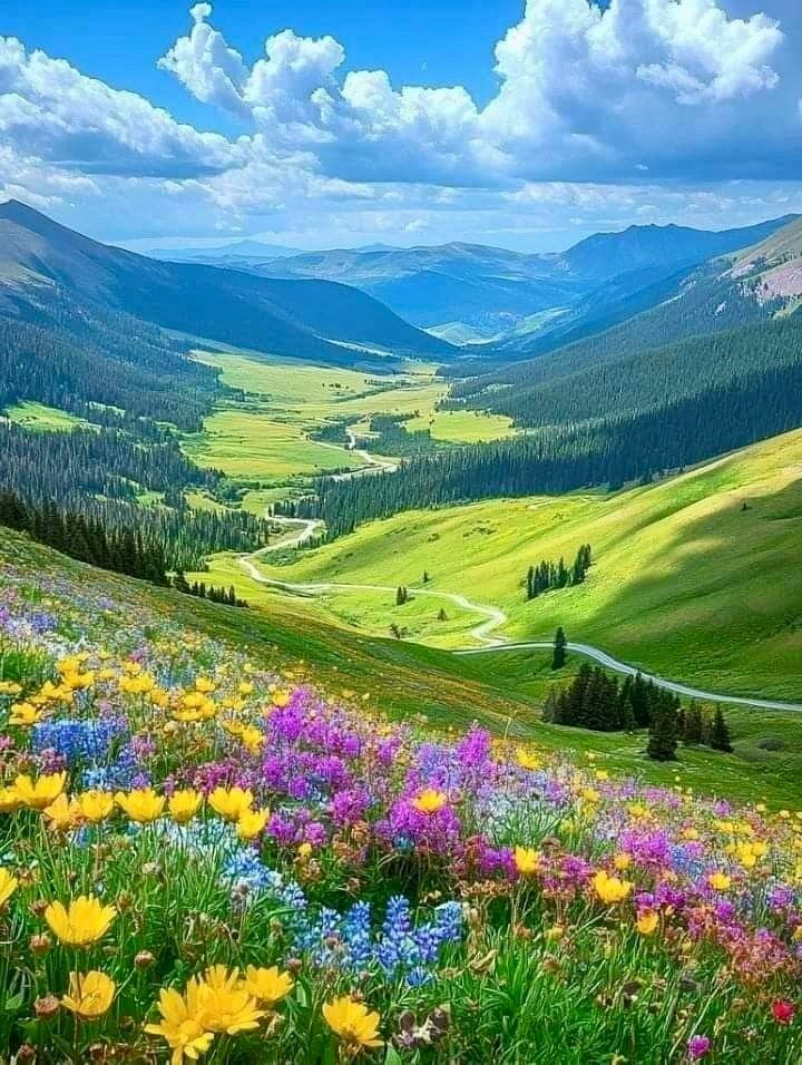 tomasem1's tweet photo. Good morning 🌅my dear friends.💖 Happy Thursday.☀️💐🐦🧡God's blessings to all, peace and goodness.🌿🕊️💞 https://t.co/FF9fbNB7Lp