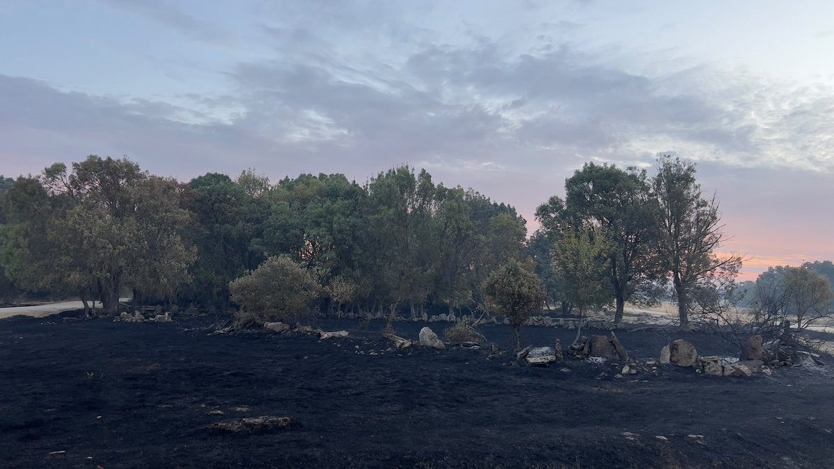 news_zamora's tweet photo. CRÓNICA Y SITUACIÓN #IFFERMOSELLE Sayago resiste tras una noche de fuego: 14 pueblos desalojados, más de 800 evacuados y cuatro frentes todavía activos https://t.co/t5GN4MVxEx https://t.co/zFsMB9OEoN