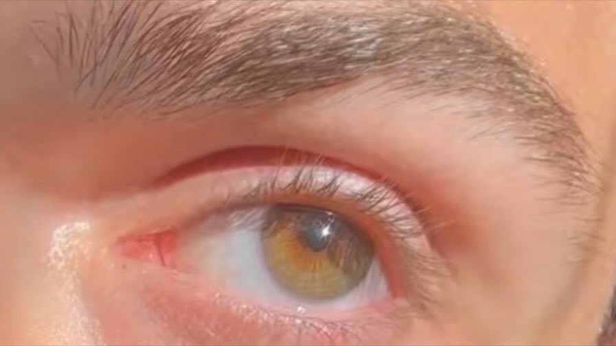 SirCringe6's tweet photo. https://t.co/5f6TGTqKsW