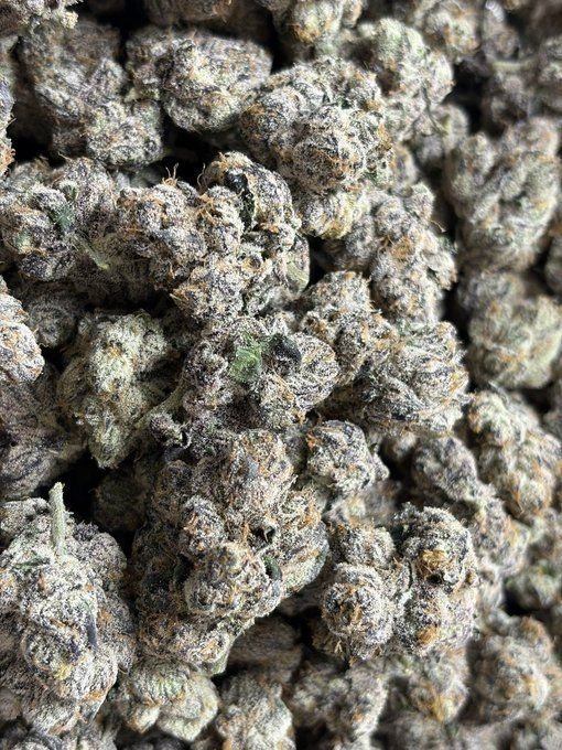 TheGrownClub's tweet photo. Moonbow #75. Some things don’t come around often.

Order Now https://t.co/ObXscwH7JK

#UK #weed #cannabis #england￼ #gorillagrow #fastbuds #autoflowers #thca #stoners #stonerslife #highlife #medicalcannabis #thc #cbd #smokers #Texasweed #denverweed #ohioweed #caliweed #houstonweed