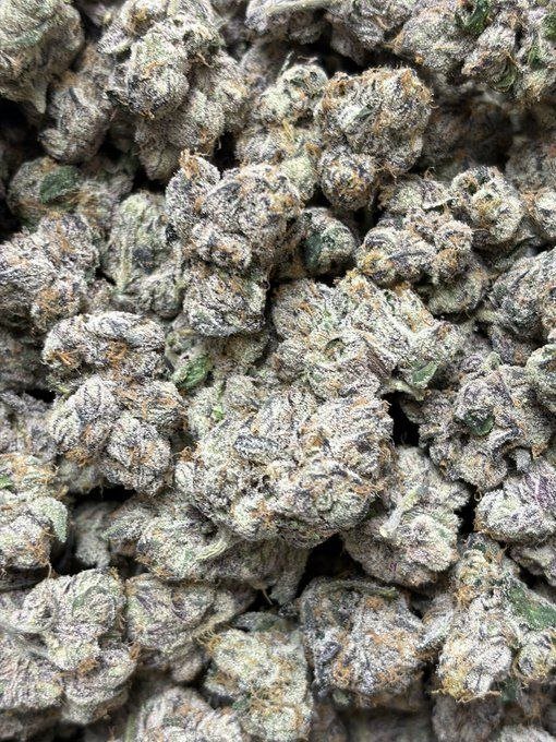 TheGrownClub's tweet photo. Moonbow #75. Some things don’t come around often.

Order Now https://t.co/ObXscwH7JK

#UK #weed #cannabis #england￼ #gorillagrow #fastbuds #autoflowers #thca #stoners #stonerslife #highlife #medicalcannabis #thc #cbd #smokers #Texasweed #denverweed #ohioweed #caliweed #houstonweed