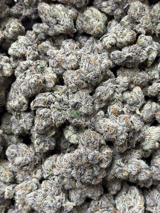 TheGrownClub's tweet photo. Moonbow #75. Some things don’t come around often.

Order Now https://t.co/ObXscwH7JK

#UK #weed #cannabis #england￼ #gorillagrow #fastbuds #autoflowers #thca #stoners #stonerslife #highlife #medicalcannabis #thc #cbd #smokers #Texasweed #denverweed #ohioweed #caliweed #houstonweed