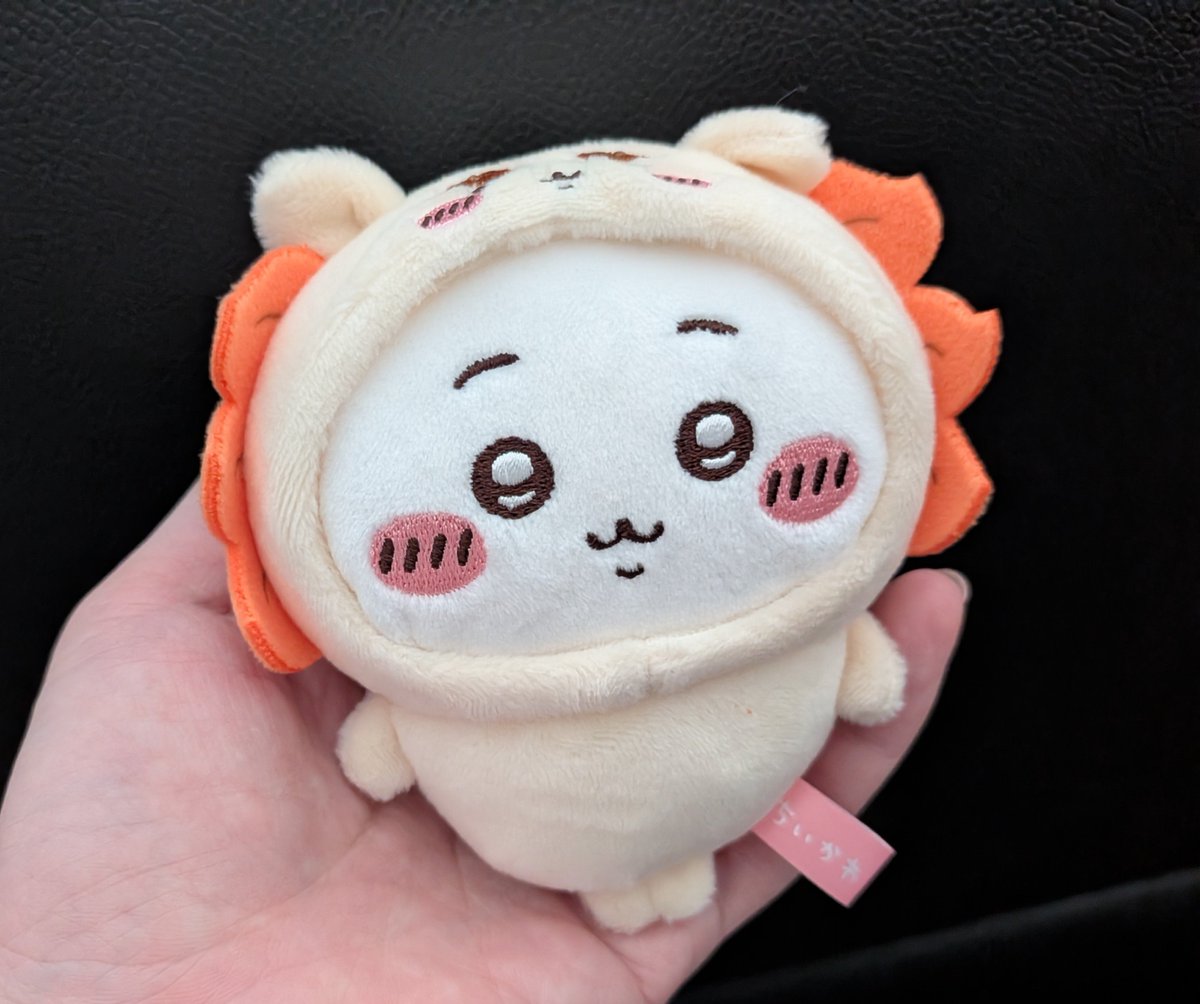 aman_0822's tweet photo. シーサーちいちゃん届いた🧡🩷

タグで二人がスイッスイッしてるのが可愛い🧡🩷 https://t.co/d4SE9ZRMSX
