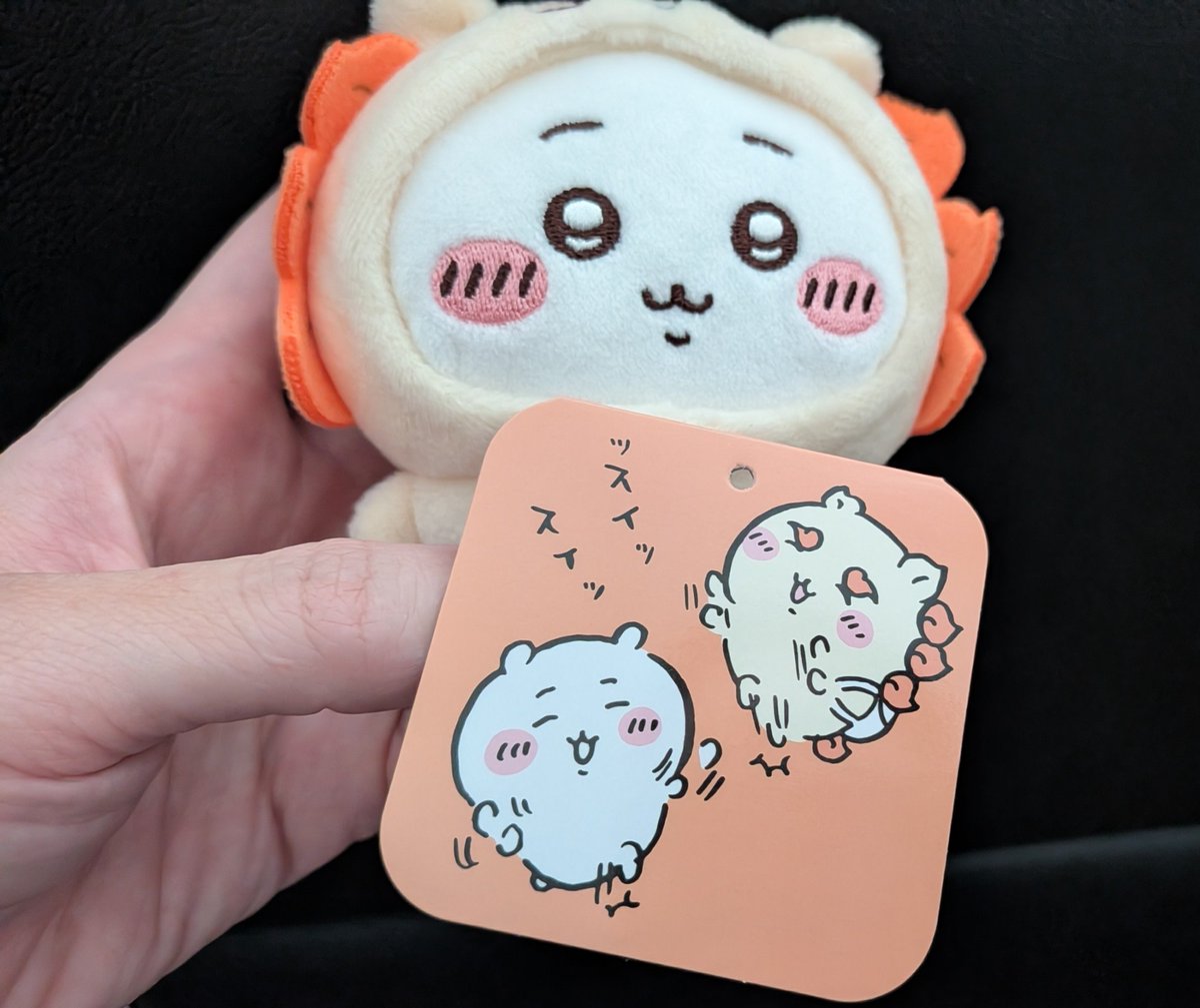 aman_0822's tweet photo. シーサーちいちゃん届いた🧡🩷

タグで二人がスイッスイッしてるのが可愛い🧡🩷 https://t.co/d4SE9ZRMSX