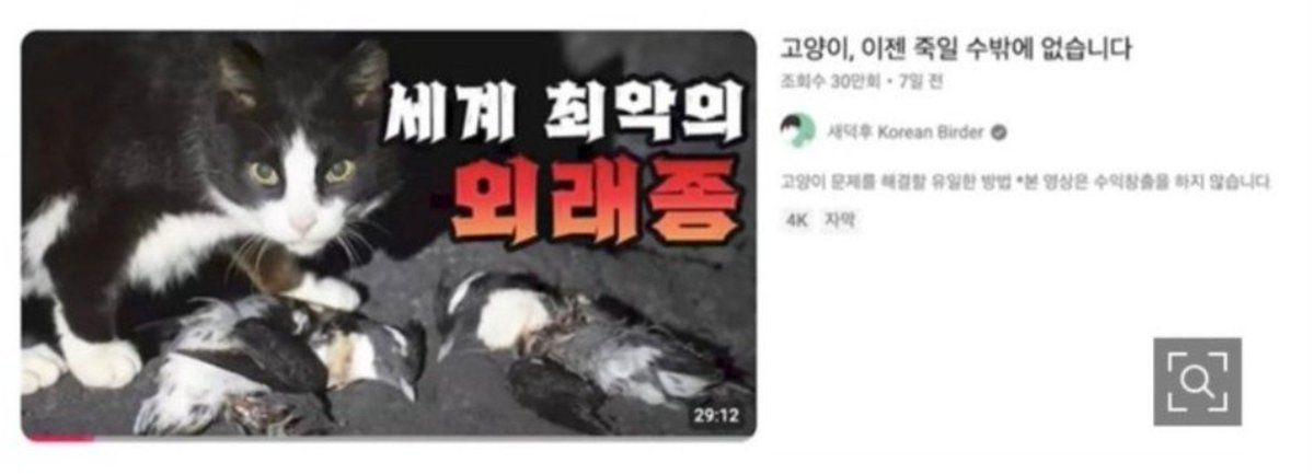 yuwisk's tweet photo. 새덕후의 영향이 크다고 봅니다.
환경부 명칭이다 하는데 고양이를 '외래종'으로 규정해야 생태계 교란종으로 몰아 살처분 명분을 만들 수 있기 때문에...그런데 그 논리라면 철새야말로 대표적인 외래종 아닌가요 싶고 한국에 외래종이 아닌 동물이 있나 싶기도 합니다. https://t.co/CjlmyZw93H