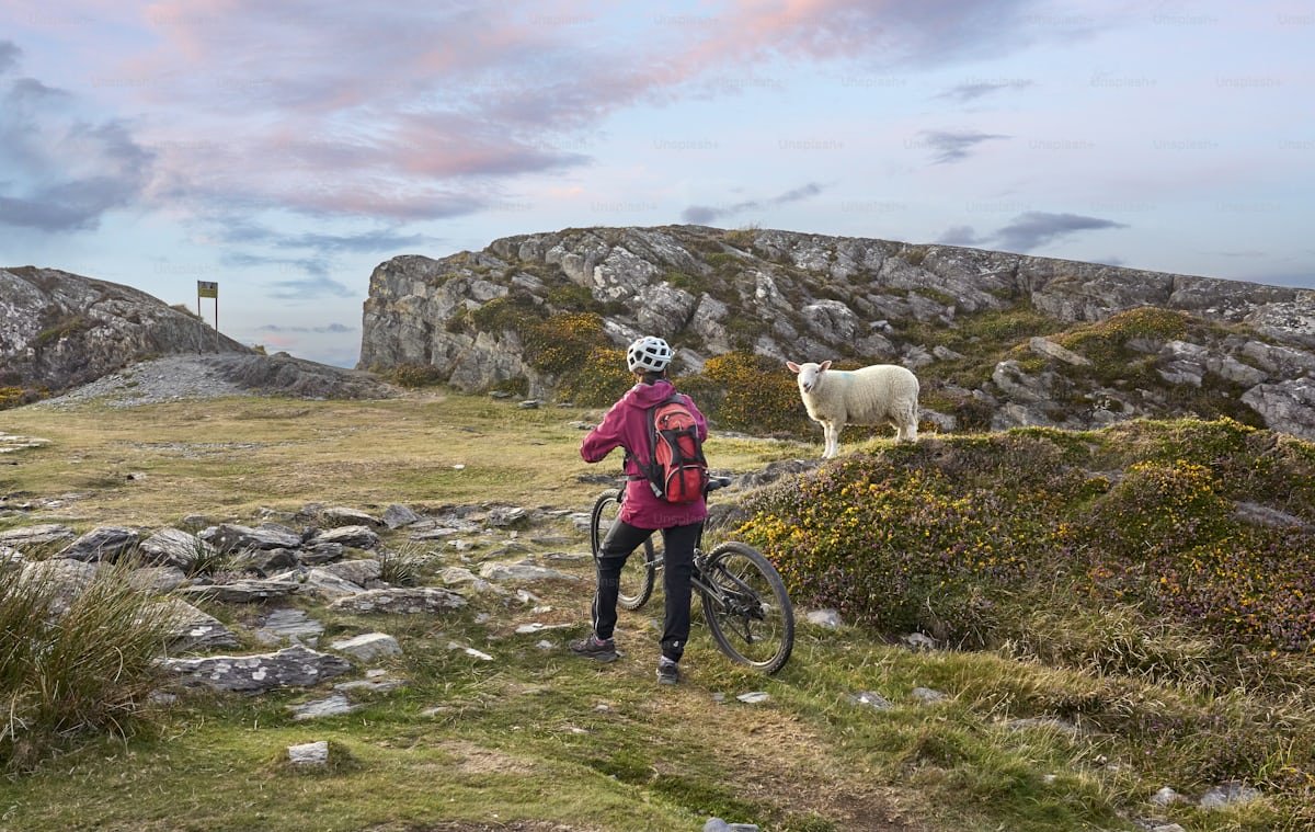 captsingh's tweet photo. ๐ก๐ฎ๐๐๐ฟ๐ฒ
The real boss of this mountain. No toll, no passage.
#SheepStandoff #CyclingFail #NatureHumor #FlockBlock https://t.co/z0CVq6q02c