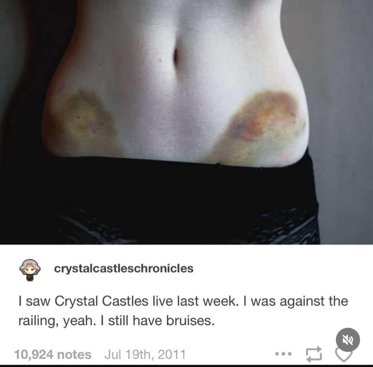 dazeyscoutt's tweet photo. a lot of these will be common / popular ones ig https://t.co/VImqq7jC2y