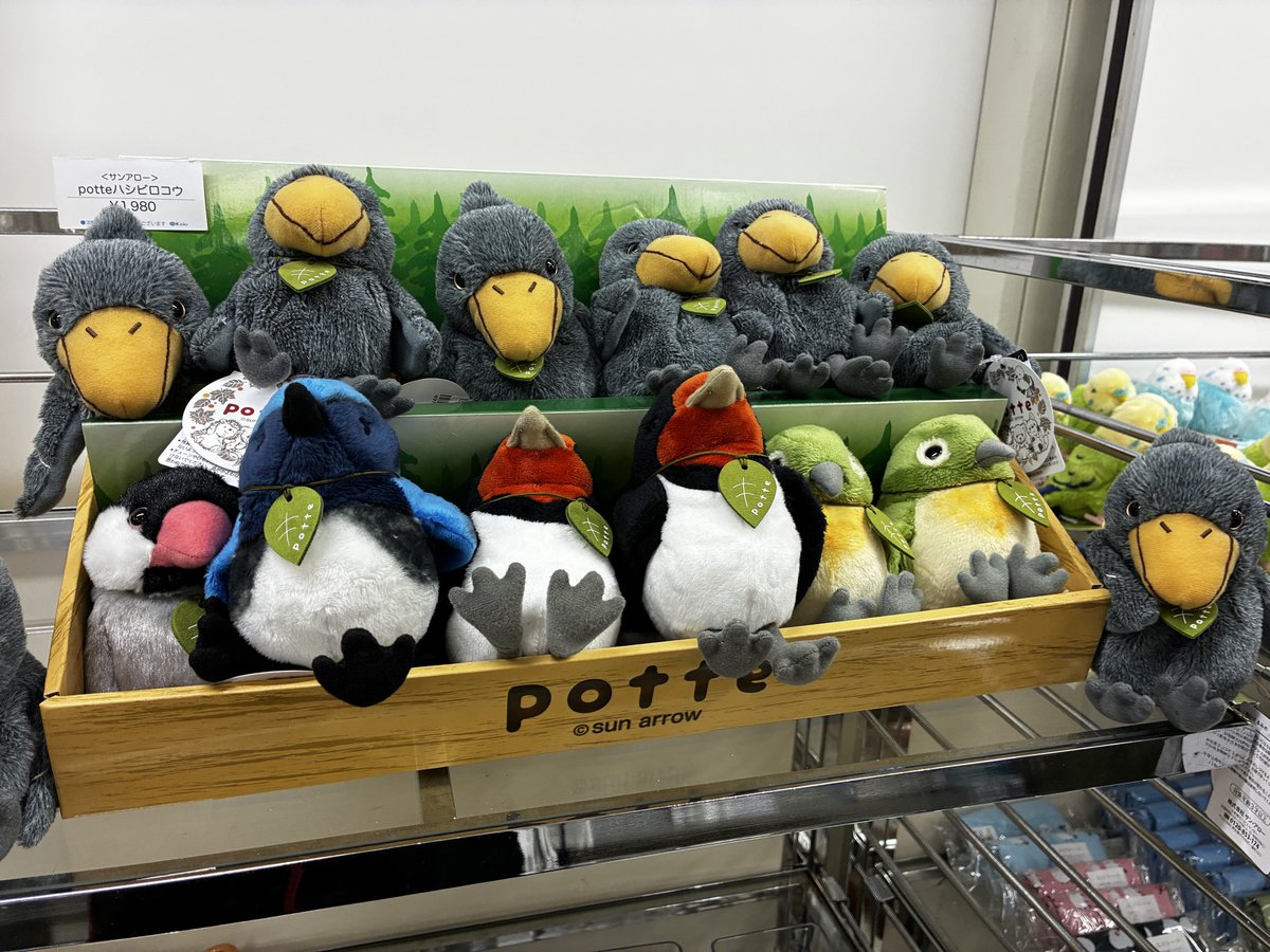 サン・アロー公式オンラインショップ (@teddys_shop) / Posts / X
