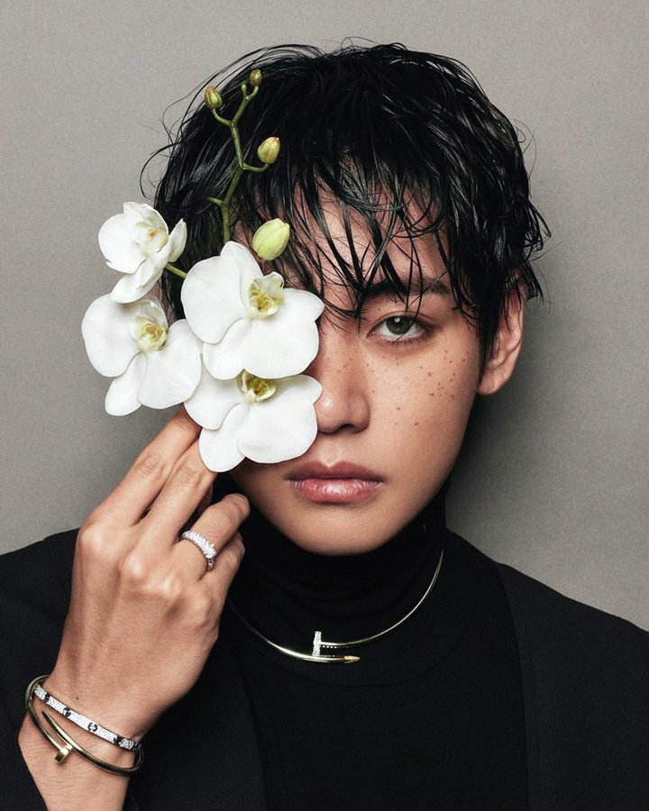 v_hotrends's tweet photo. I vote for #V #KimTaehyung  #THEmost100handsomeFaces2026 #100faces2026 
@tccandler

KING OF KPOP TAEHYUNG https://t.co/Z0YjI5CQx5