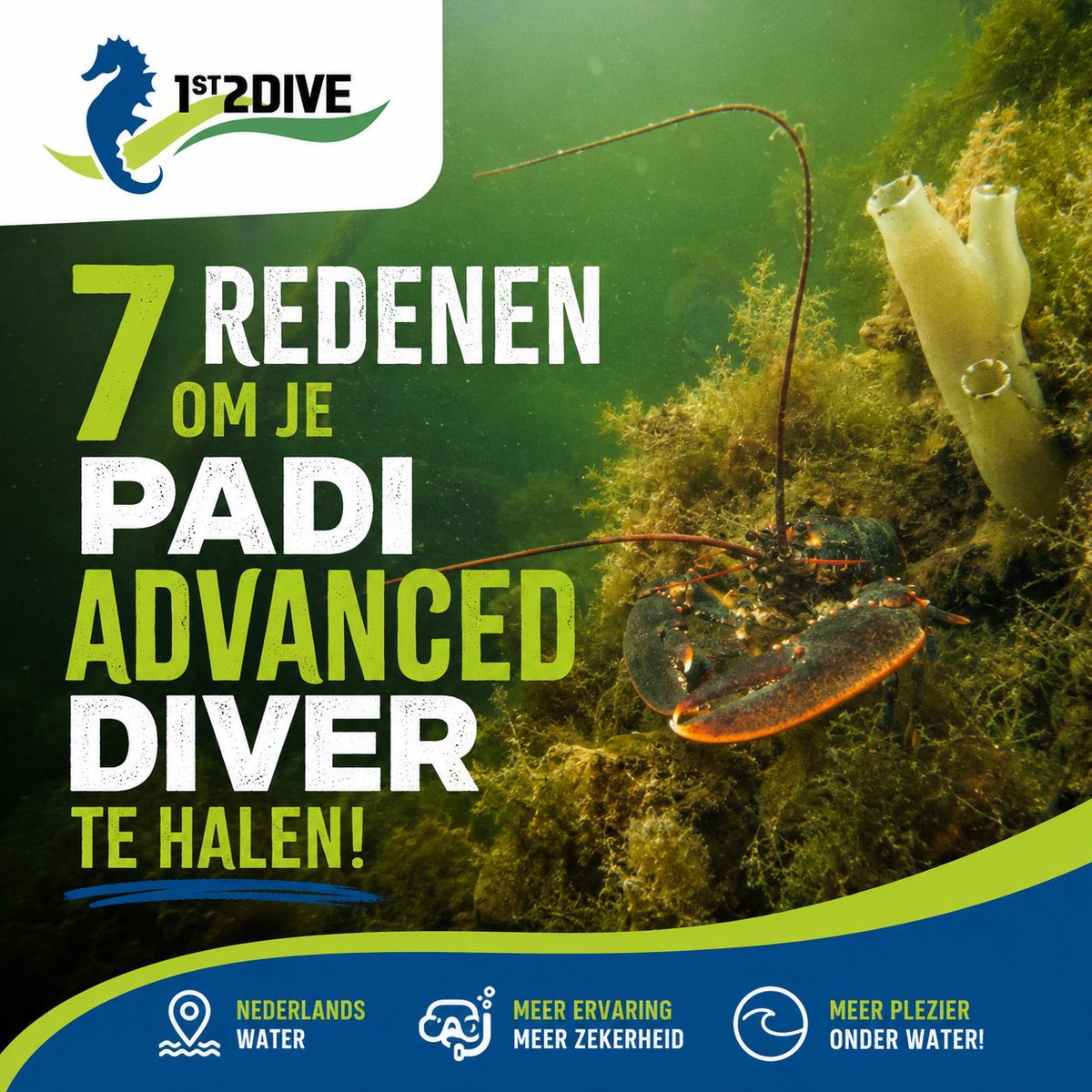 PeterJa48298220's tweet photo. ๐ De 7 redenen om je PADI Advanced te halen! Zie Facebook 1st2dive๐คฟ
Meer skills.
Volg jouw cursus bij 1st2dive of Sub Ocean. Neem contact op en duik verder!
#1st2dive #SubOcean #PADI #AdvancedOpenWater #Duiken #Scuba #DiveMore #Adventure https://t.co/S6Hj2CeBth