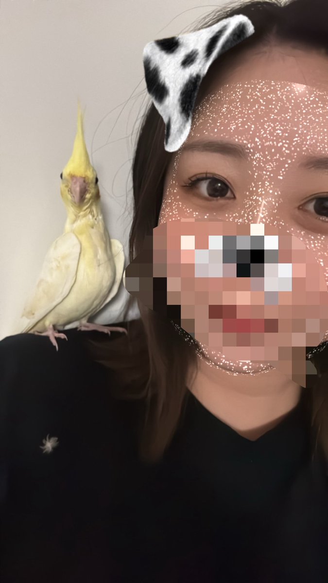 ayaka102111's tweet photo. 肩乗りオカメ🐥⸒⸒ https://t.co/vVbNs5ZBCK