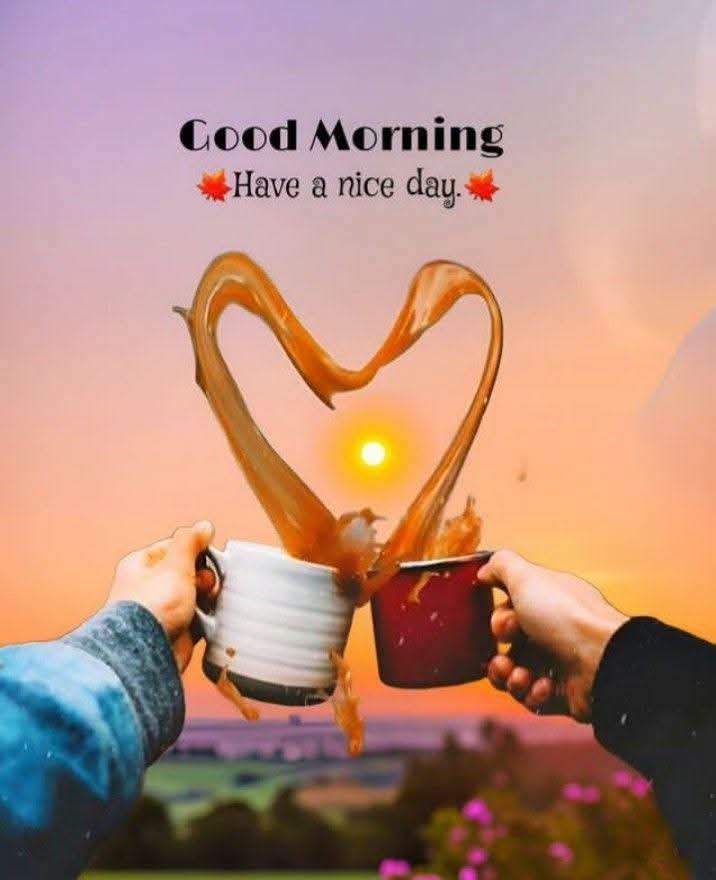 Laraib_Fatiima's tweet photo. GOOD MORNING EVERYONE ❤️👍 #goodmorning #PostViral #photochallange #highlight  🥀🥀🥀🥀 https://t.co/5wZhpUbwQ8
