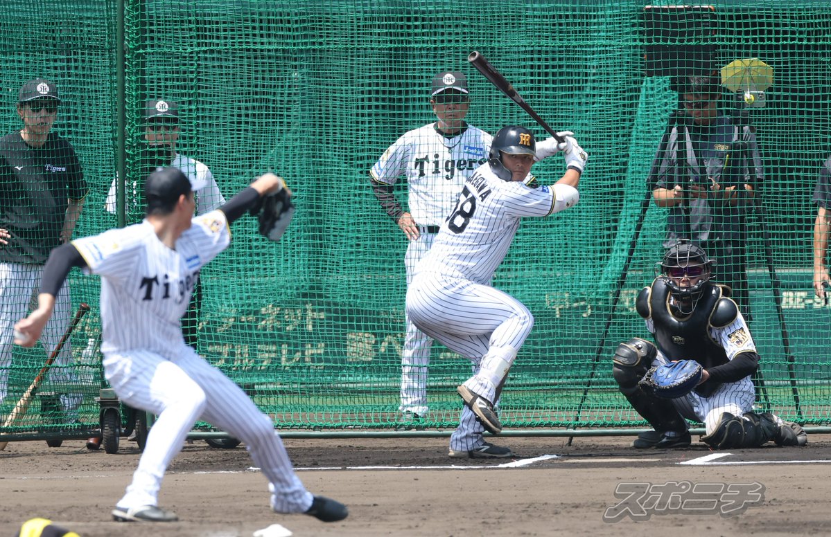 Sponichi_Tphoto's tweet photo. ライブＢＰで #湯浅京己 投手と対戦した #前川右京 選手。17日に骨折してから驚異的なスピードで回復しています https://t.co/G6aOl5JlqY