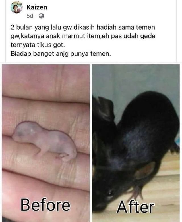 suckzeter's tweet photo. 😭 https://t.co/owI0djTh9y
