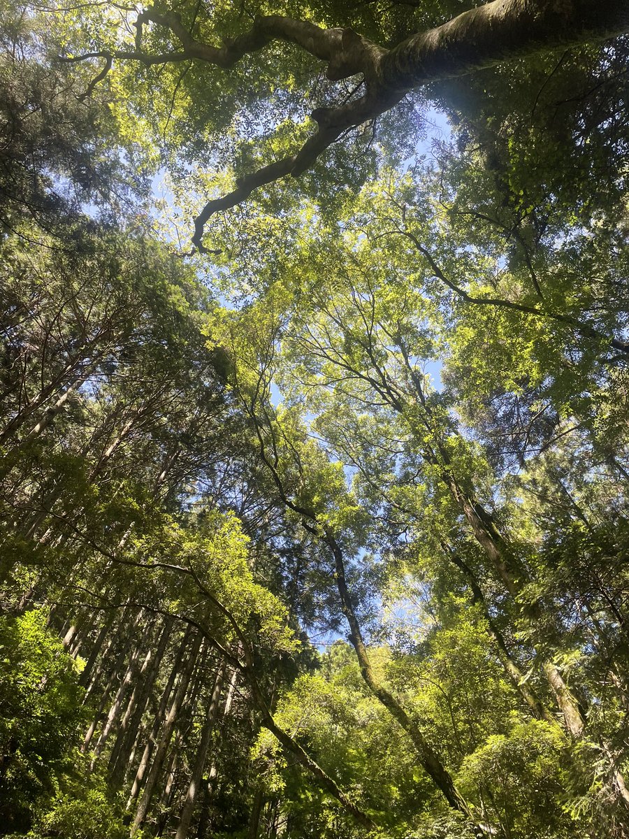 420Nano's tweet photo. 本当に幸せな時間でした。
自分の中であんな感情があるとは思いもせず、お芝居の楽しさ、難しさ、仲間の大切さと沢山の事を得ました。
また頑張ろう。 https://t.co/B8t3L49dQ8