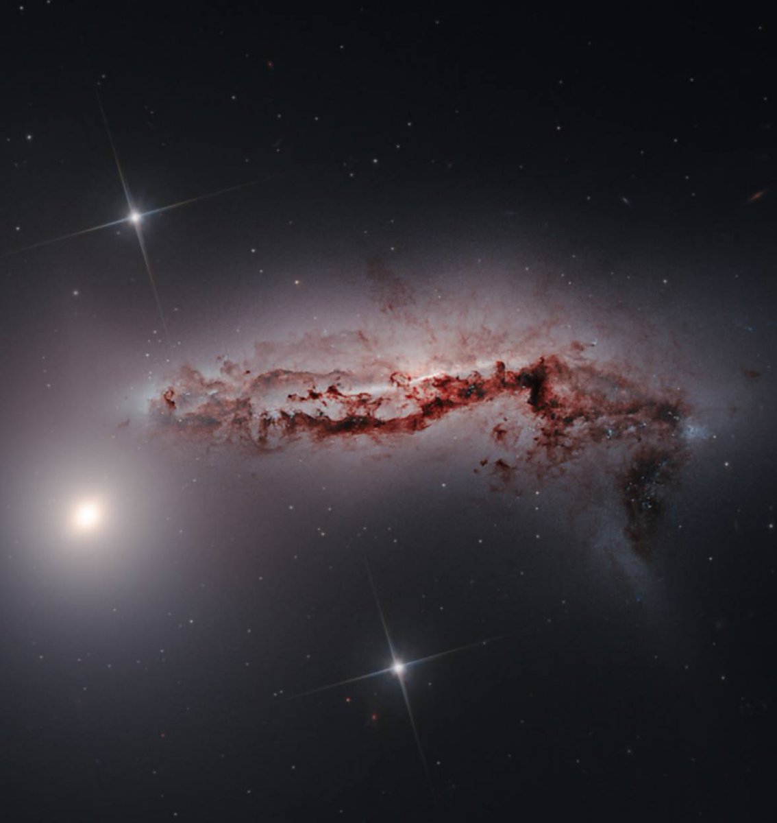 Black Hole tweet media