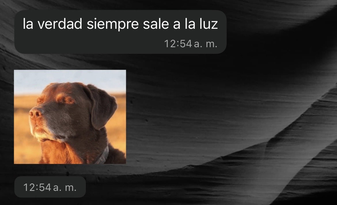 maiteherrera_17's tweet photo. POV: el tiempo te sigue dando la razón.
 Mi amiga: https://t.co/XJ6djfbiTk